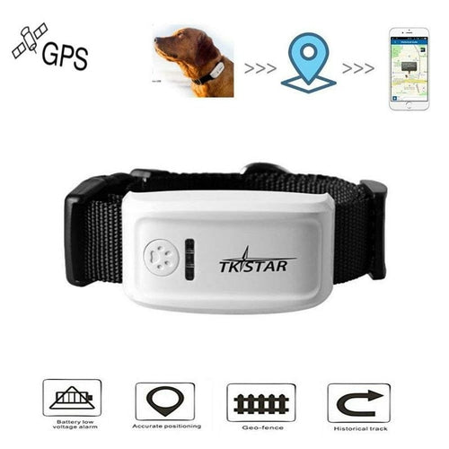 Infinity GPS Pet Tracker — Real-Time Tracking for Cats & Dogs